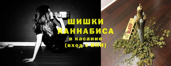 сатива Чердынь