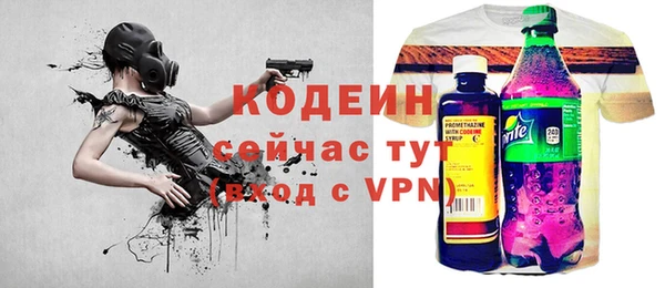 МДПВ Пересвет