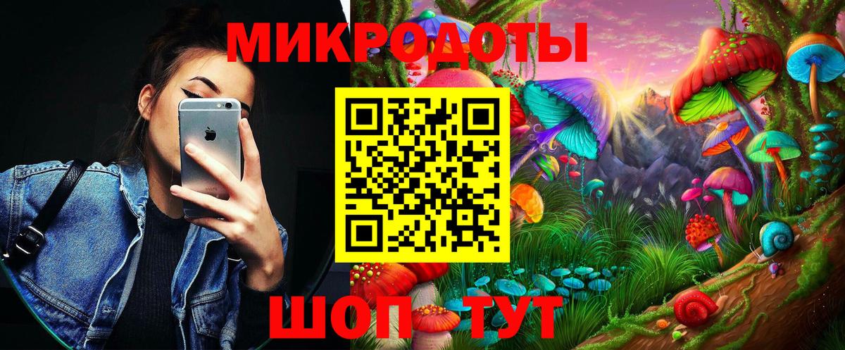 Галлюциногенные грибы Psilocybine cubensis Чапаевск