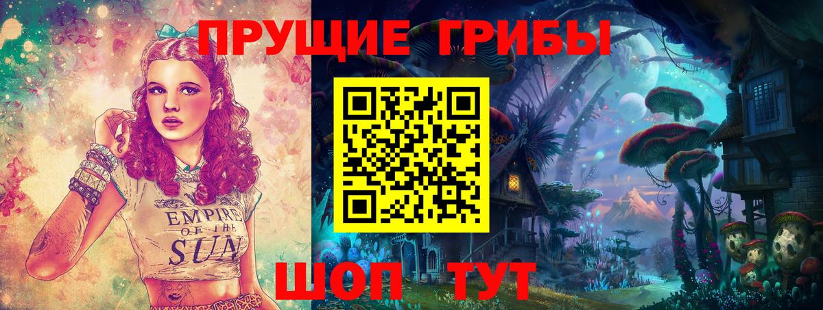 Галлюциногенные грибы GOLDEN TEACHER Чапаевск