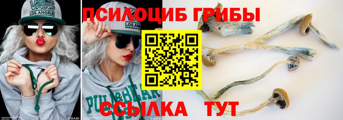 Галлюциногенные грибы GOLDEN TEACHER  Чапаевск 