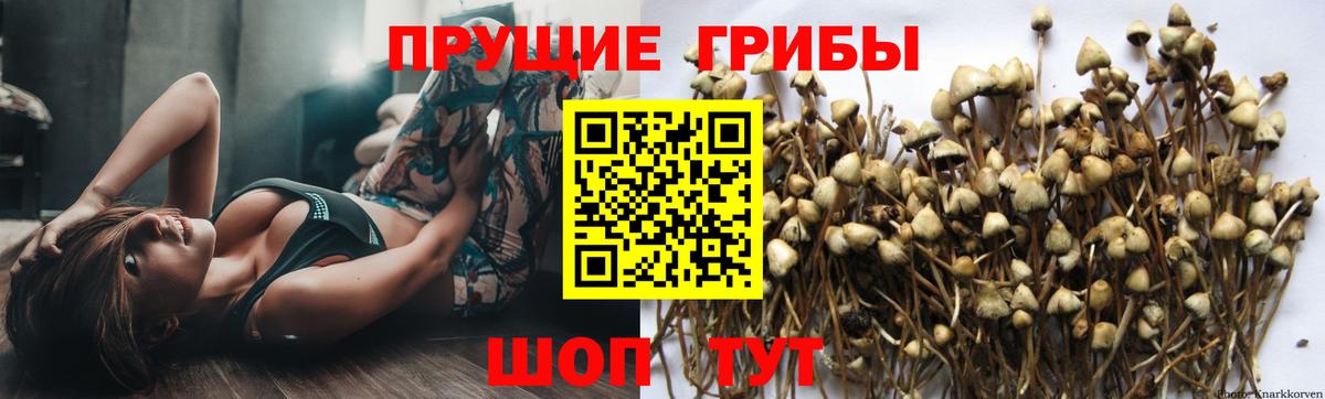 Гашиш  MDMA  МАРИХУАНА  ГАШИШ  Чапаевск  Cocaine  Мефедрон   Метадон  Экстази 