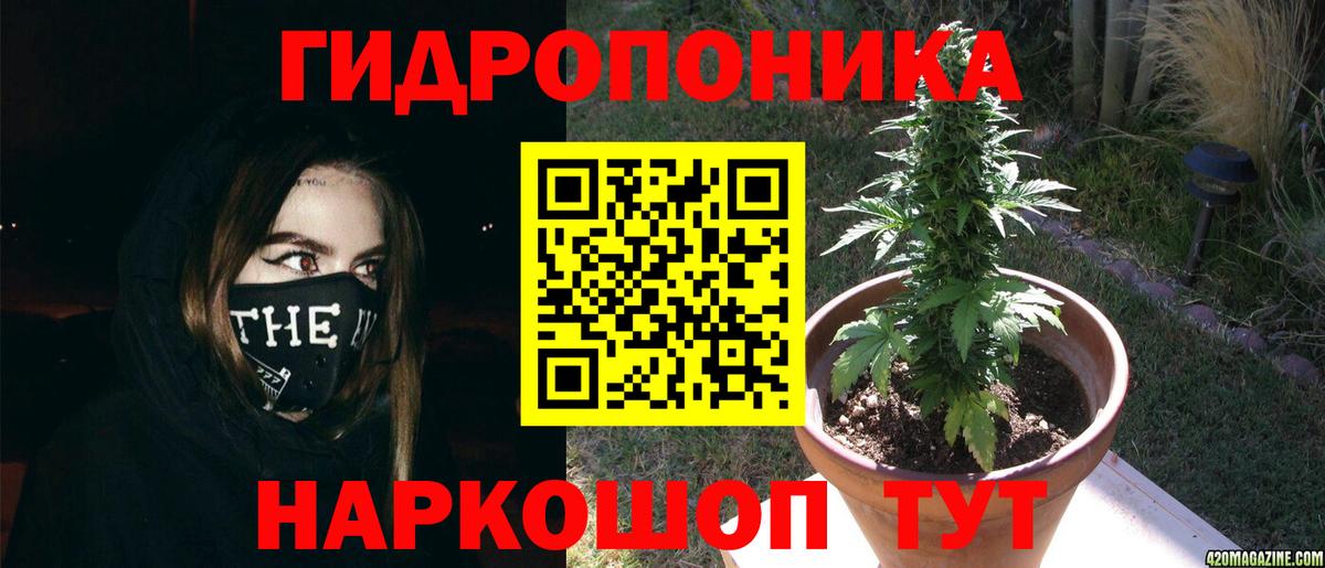 Канабис гибрид  Конопля Bruce Banner  Вход с VPN  Чапаевск 